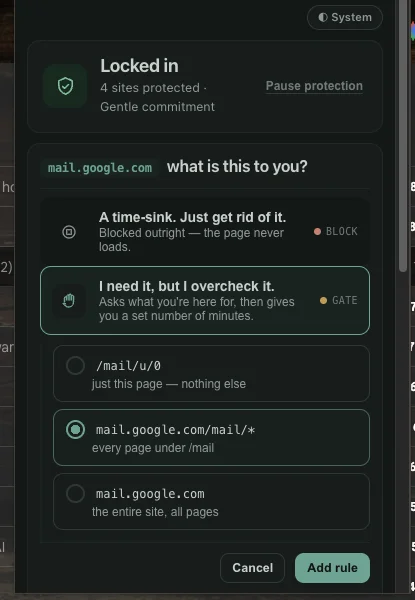 BrowseWell's popup marking Gmail as "I need it, but I overcheck it" — a gate with a scope choice of every page under /mail